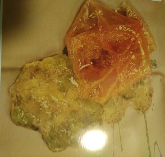 27 year old no visible sign of rupture crop