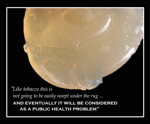 dr-kolb-quote REMOVED-rs