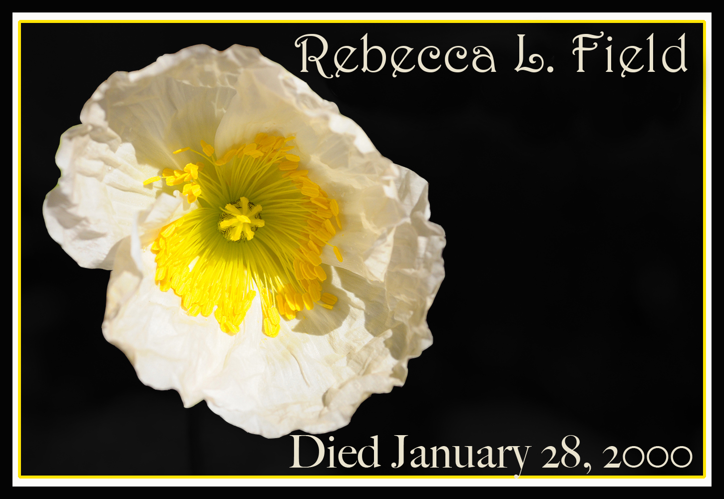 REMEMBERING POPPY 2 Rebecca L Field 2