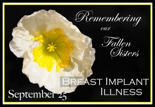 THIS white poppy for memorial MAIN FLAT FLAT