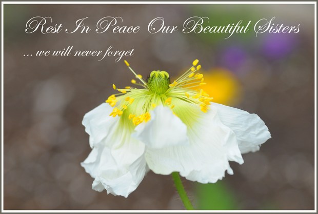 Memorial 2019 RIP border border grey rs.jpg