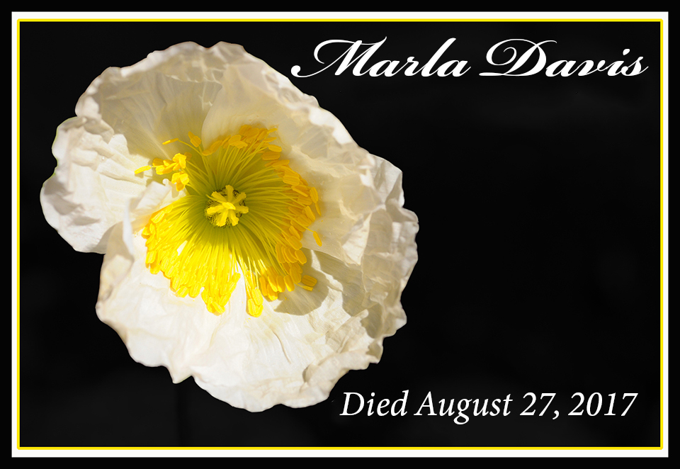 This image has an empty alt attribute; its file name is marla-davis-final-fa-2021-rs.jpg